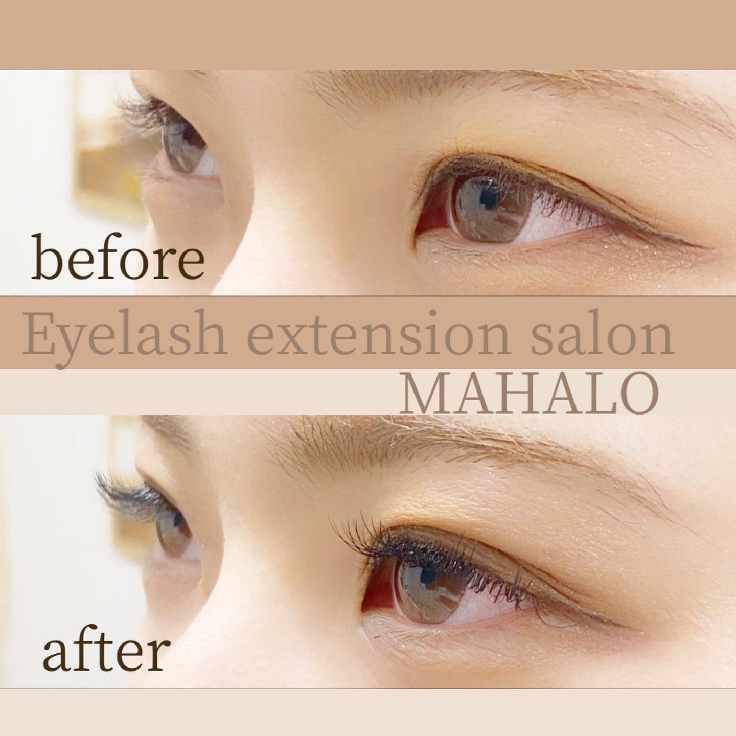 【まつ毛エクステ】AESOON(エースン)Sakuraミンク SakuraミンクCOLOR＜Dark Brown-H＞6列・0.15T - まつ毛エクステ＆美容