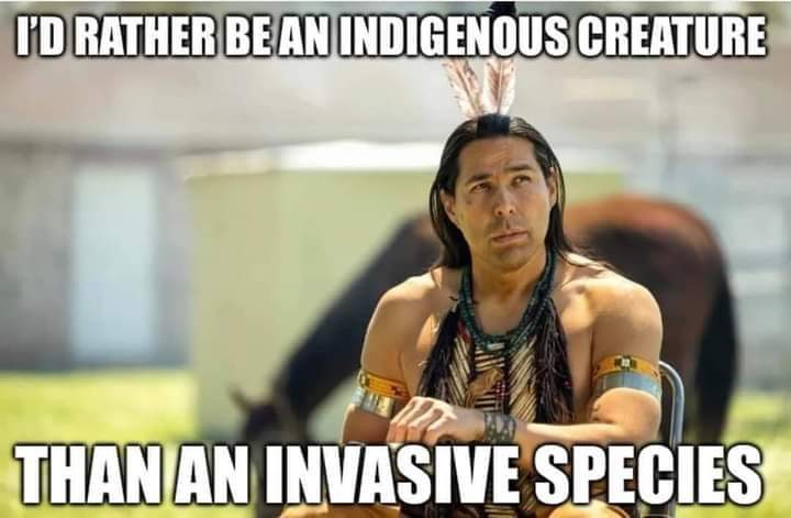 NDN_LADY503's tweet photo. https://t.co/M84B6HNj4p