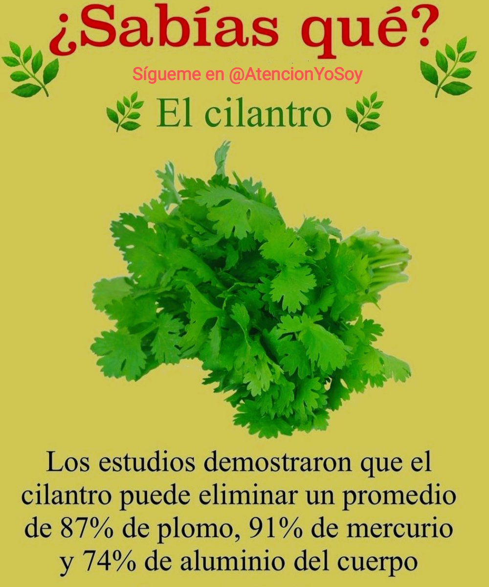 🙏✨💫🌞Tip Salud🌞💫✨🙏

El Cilantro es uno de los mejores remedios naturales para eliminar metales pesados del organismo.

*Regálame un Gracias para saber que me lees y te gusta mi contenido*