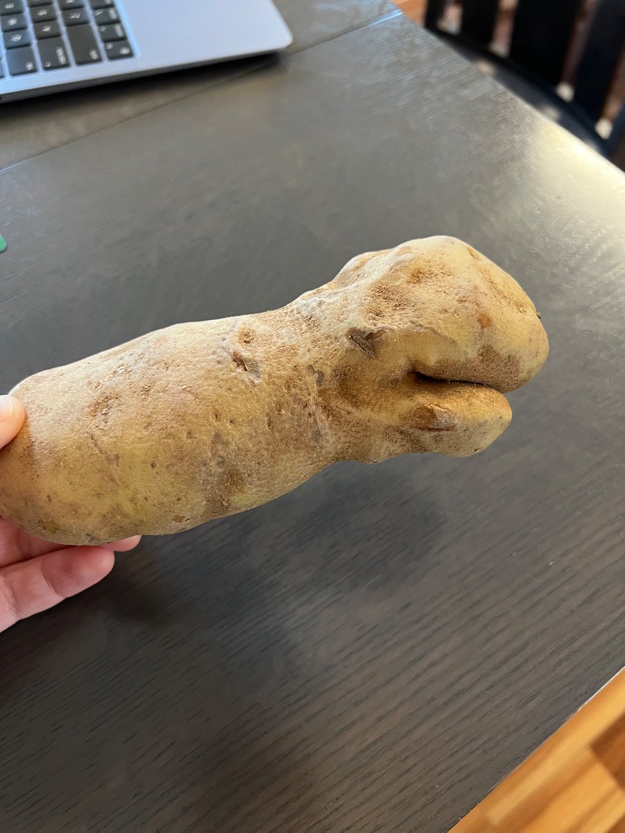 Back when I was a boy, potatoes were boring shapes. 
Kids these days don’t know how good they have it.