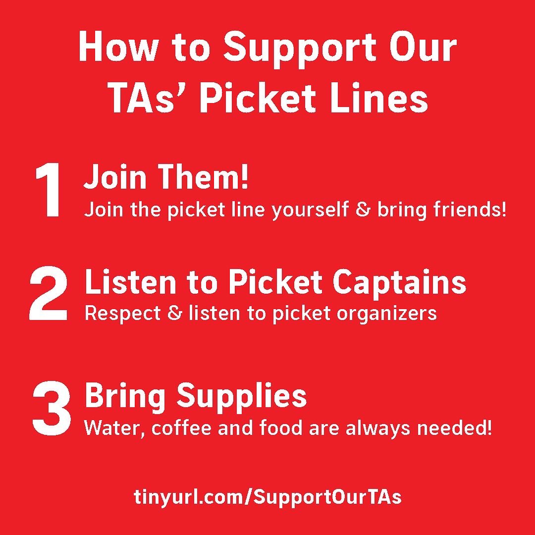 UCLA YDSA 🌹 tweet media