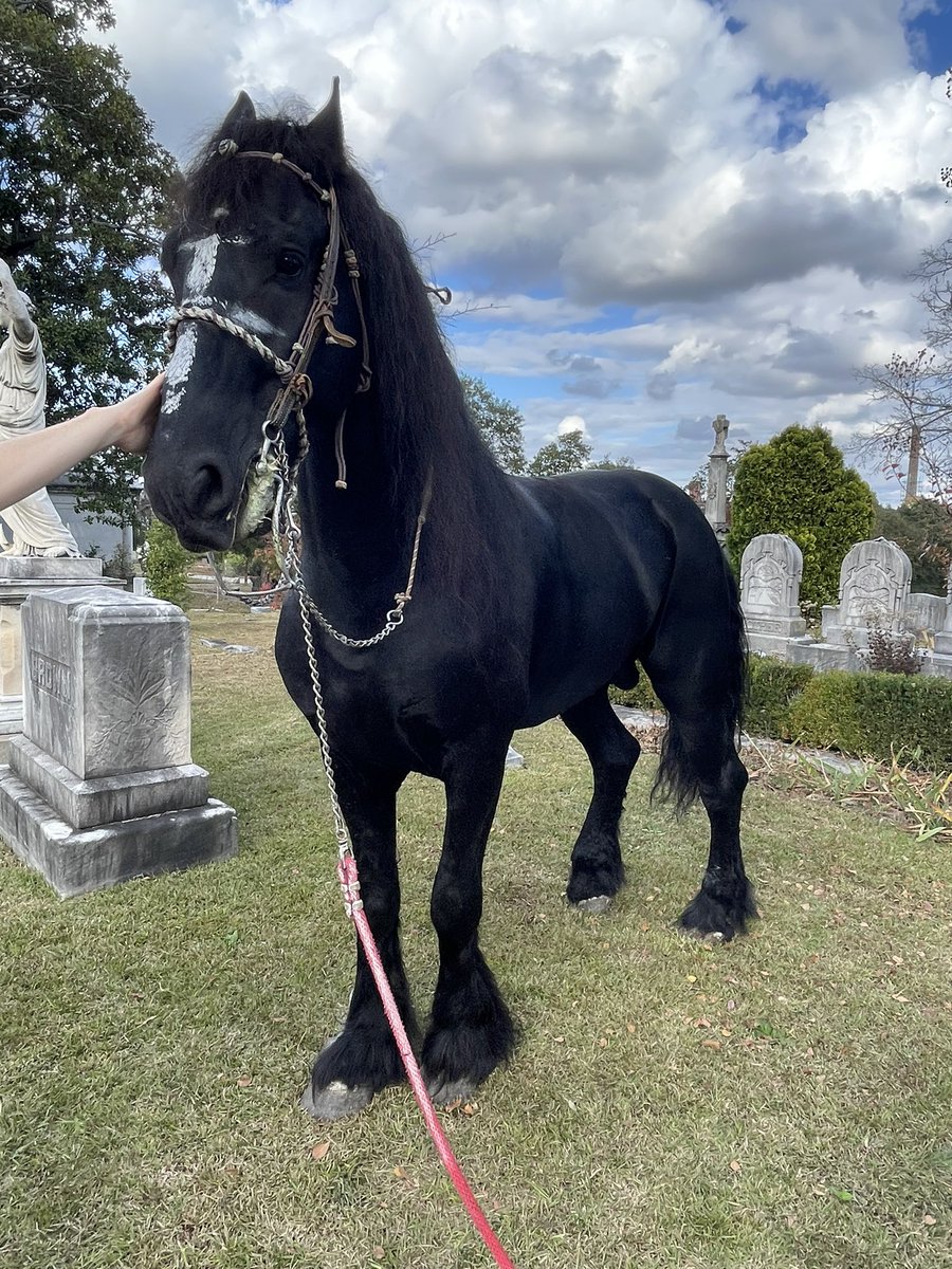 outaboutatl's tweet photo. The @oaklandcemetery is hosting its first #DayoftheDead festival. Lots of great food, music, altars and more. @ATLNewsFirst https://t.co/ymLKdJ4S6C