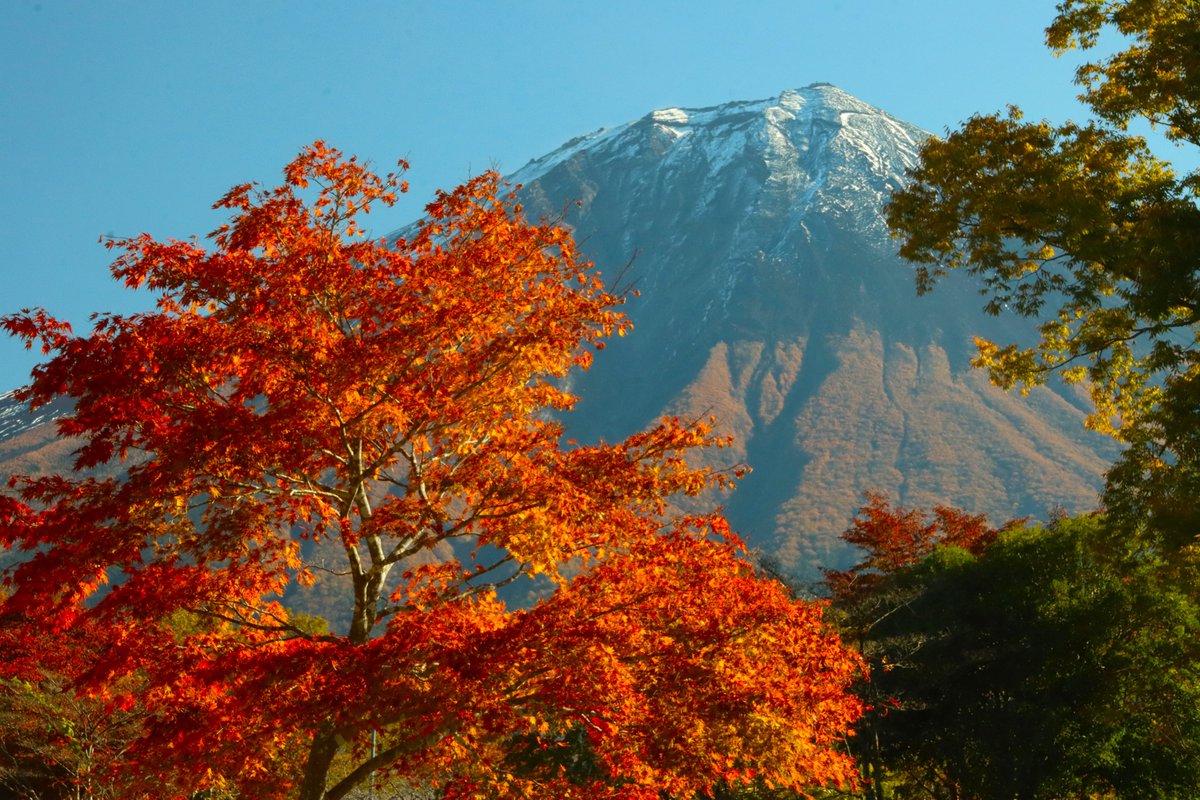 おはようございます 今週も頑張りましょう 紅葉と富士４ ＃富士山