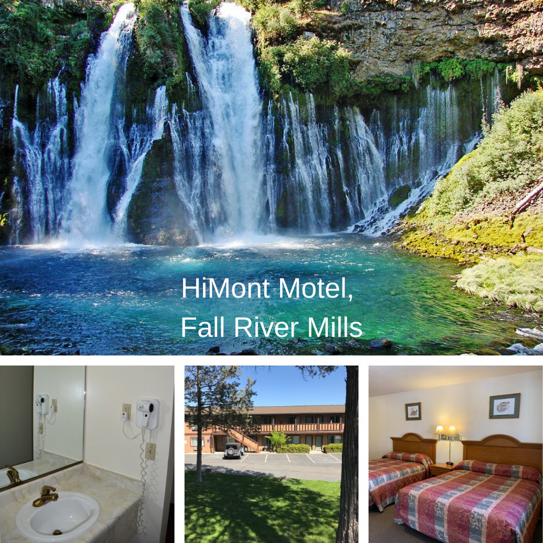 Himont Motel tweet media