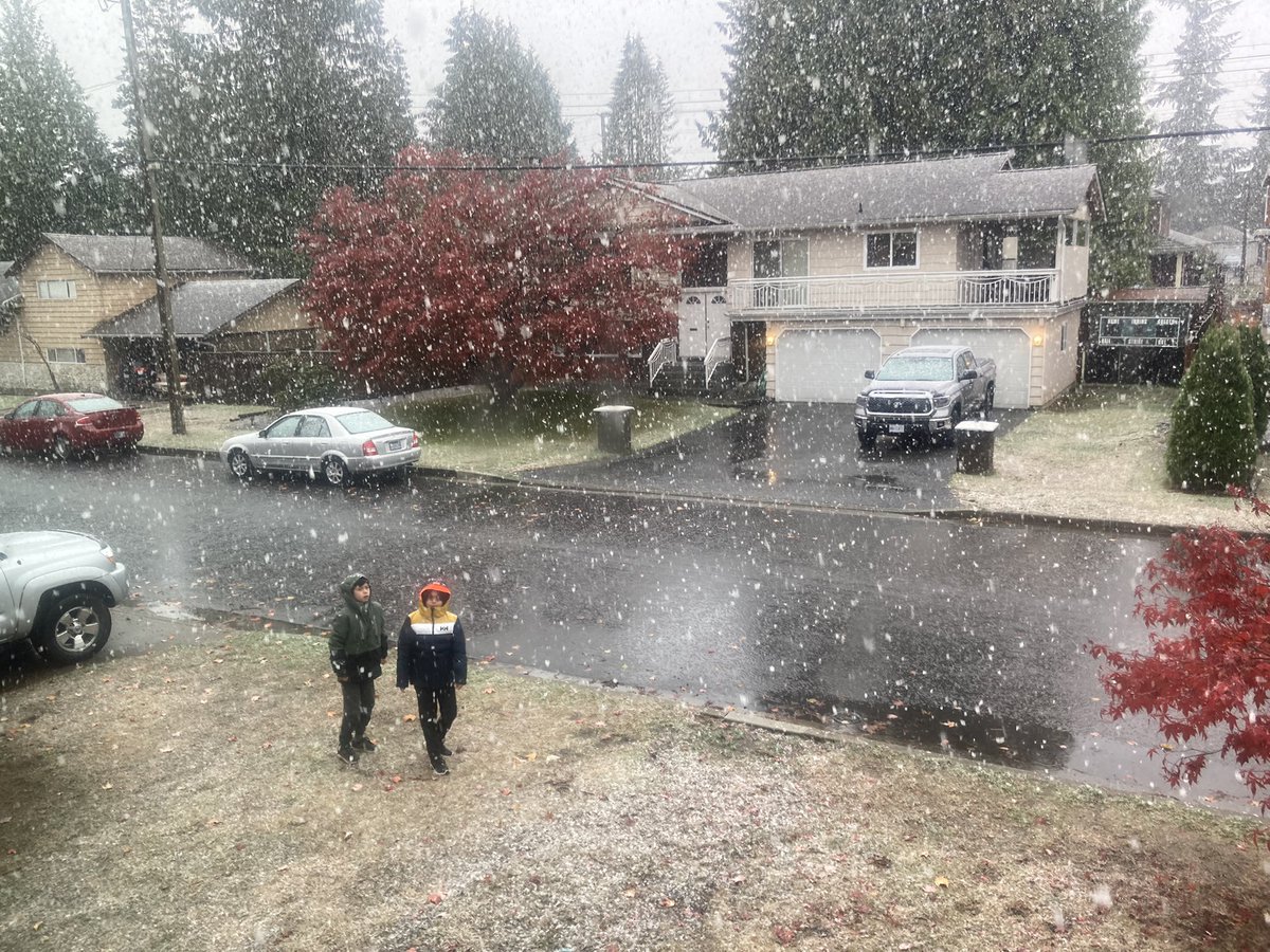 waymorefunner's tweet photo. Huge flakes coming down in Harbour Chines, Coquitlam at 150masl. #BCStorm @50ShadesofVan @Kusswx @KGordonGlobalBC https://t.co/16W8efCJrb