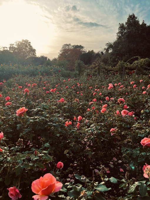 Pretty spots ✨ https://t.co/aP5uJjK8MT