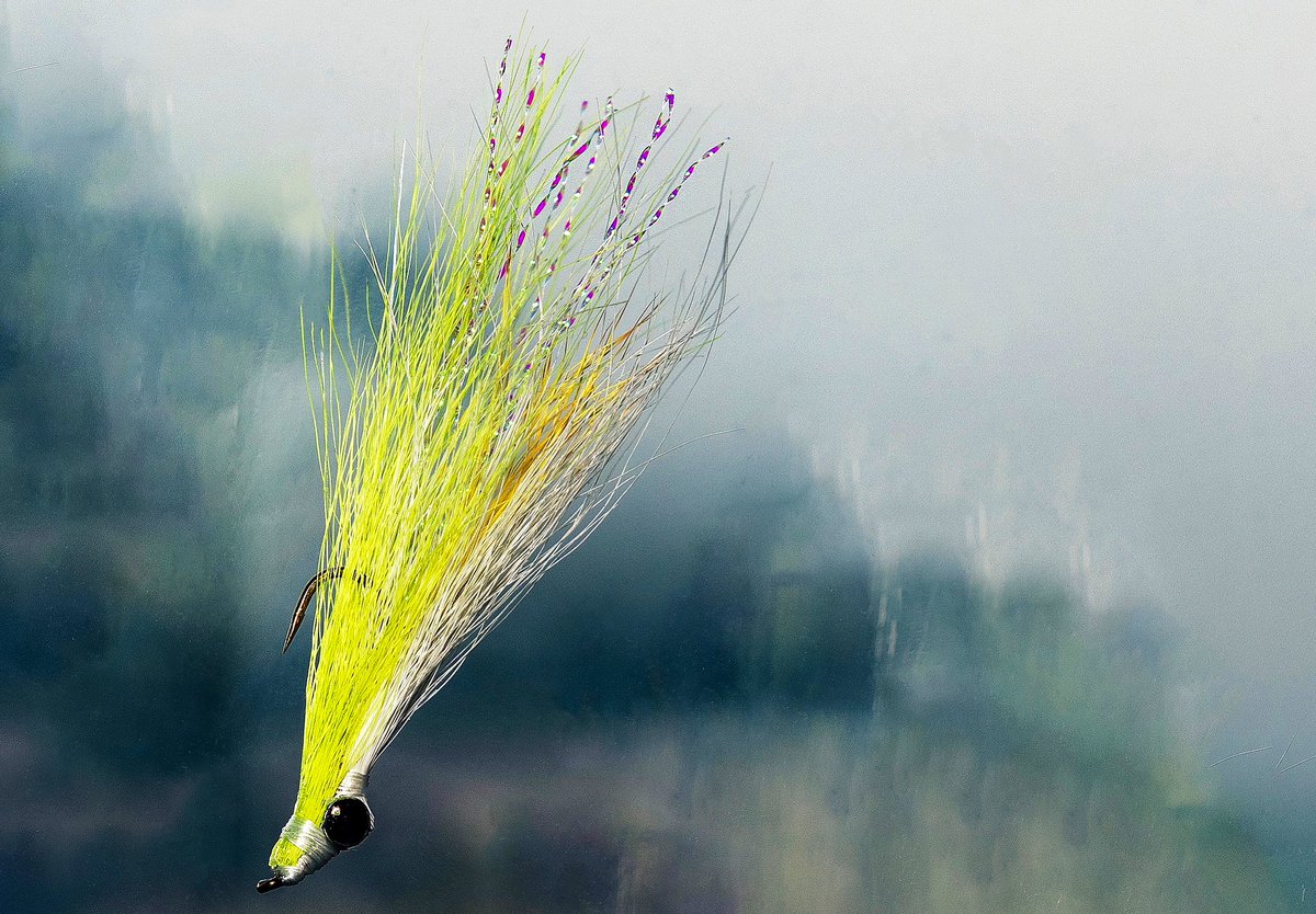 jaymsramirez's tweet photo. Sunday Still Life | Clouser Minnow #flyfishing #travel #flytie #outside #trout https://t.co/y1Sq6DmRdO