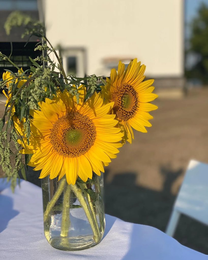 Happiness is the best weather, the best mood, and every sunny day around you.
•
•
•
📿 #relax #relaxing #toptags #relaxation #relaxed #relaxtime #relaxin #relaxmode #relaxday #timeforrelax #relaxingday #relaxtotal #relaxationtime #justrelax #feelgood #haveagoodtime