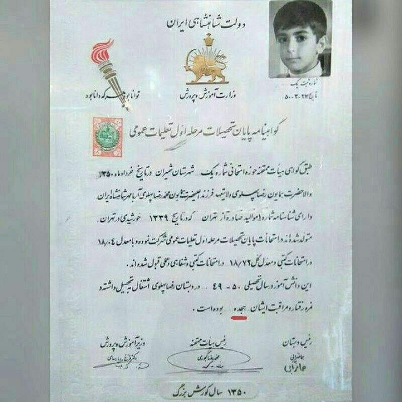 soheila2 👑🇮🇷 tweet media