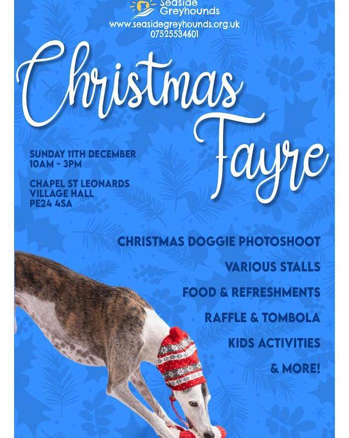 Greyhound Adoption @ Seaside Greyhounds tweet media