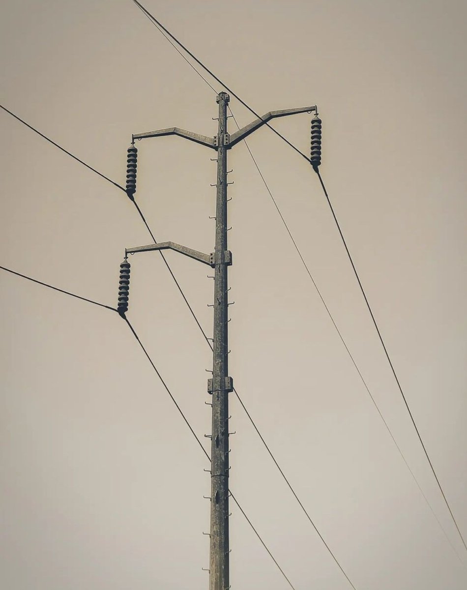 Eliezer Jáuregui tweet media