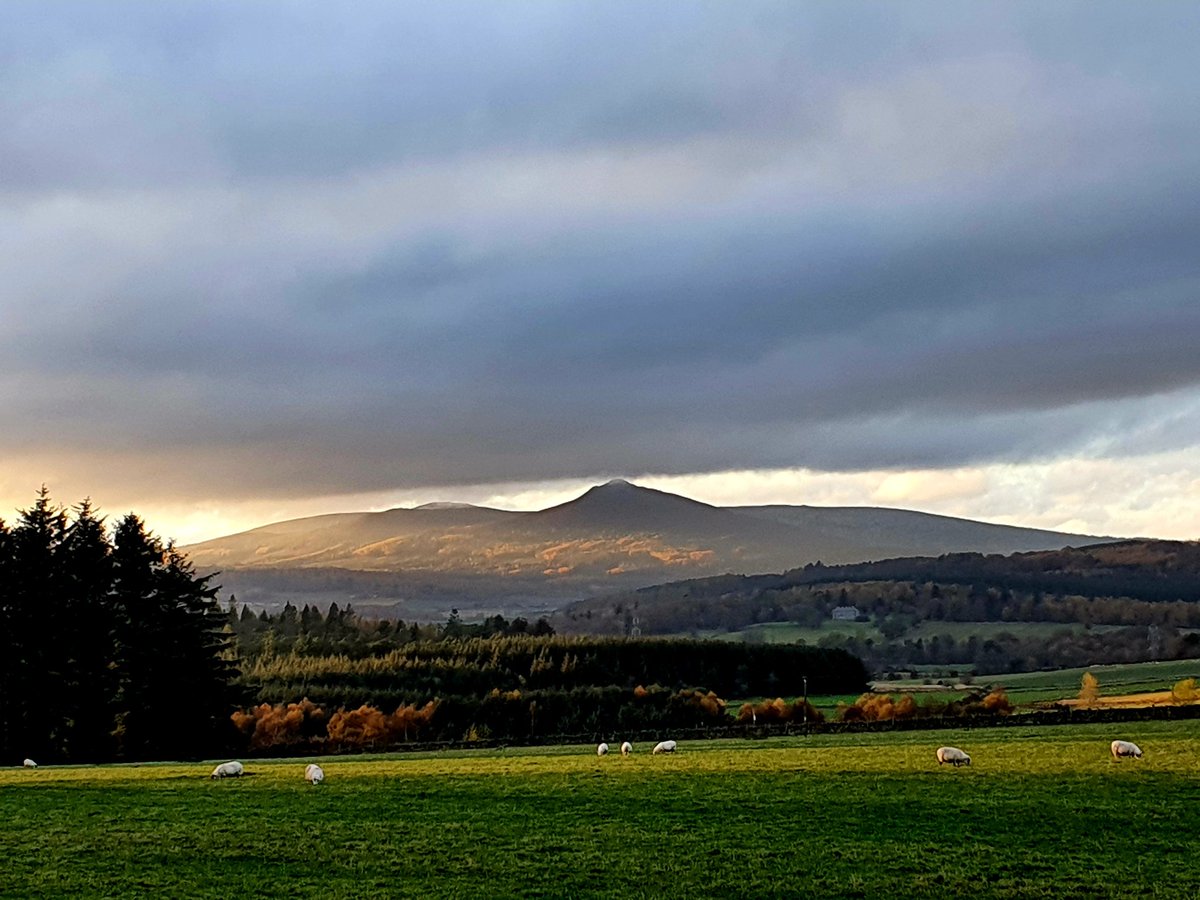 Daily_Bennachie's tweet photo. 15:33
6th November 2022 https://t.co/AxjT53QhnZ