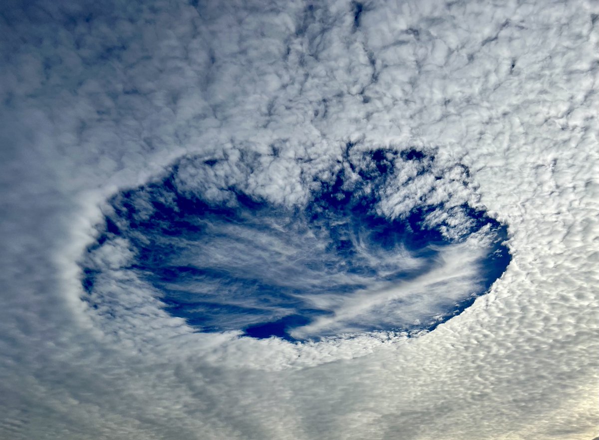 Kitchen_Garten's tweet photo. #Holepunchcloud in der #Pfalz … sieht schon toll aus #Wolken #Himmel https://t.co/gsXwSDffYR