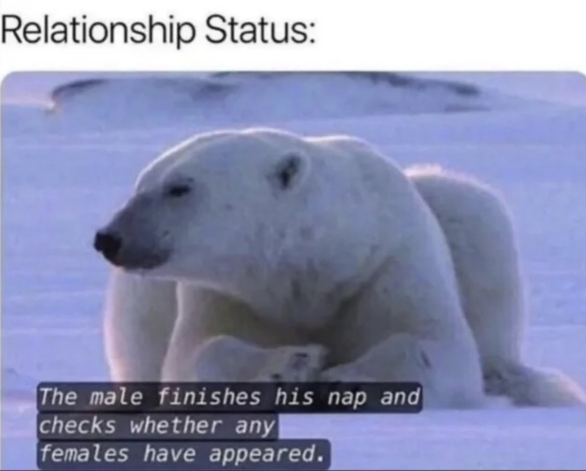 MensHumor's tweet image. I mean, relatable