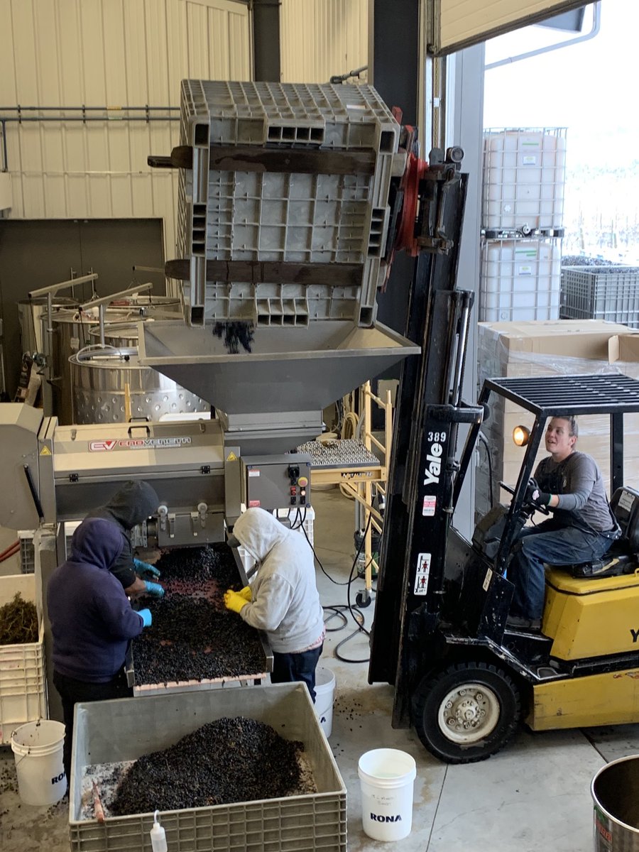 Michael Clark tweet media