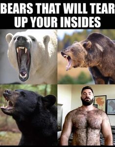 Sundays are Bear Night. Come get mauled! 🐻😈