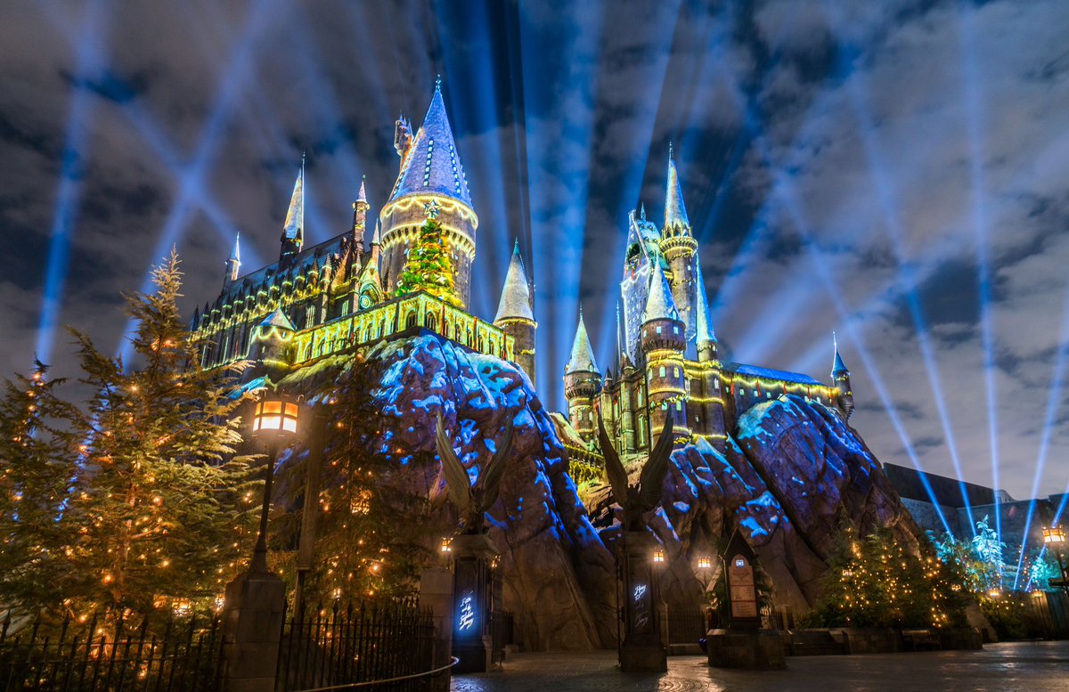 EiProfeta's tweet photo. Dicen que el dinero no da la felicidad, pero yo preferiría llorar en el parque temático de Harry Potter decorado por Navidad. https://t.co/HNdydFuxnh