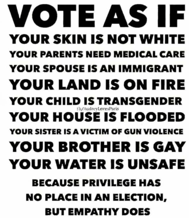 Imposter_Edits's tweet photo. There are only 2 viable choices right now, neither is perfect, far from it. Only one choice is actively trying to take the rights away from women, denies climate change, demonizes the LGBT community, and wants to end the SSI that millions depend on. 

Vote against that party. https://t.co/TG2cZZWxra