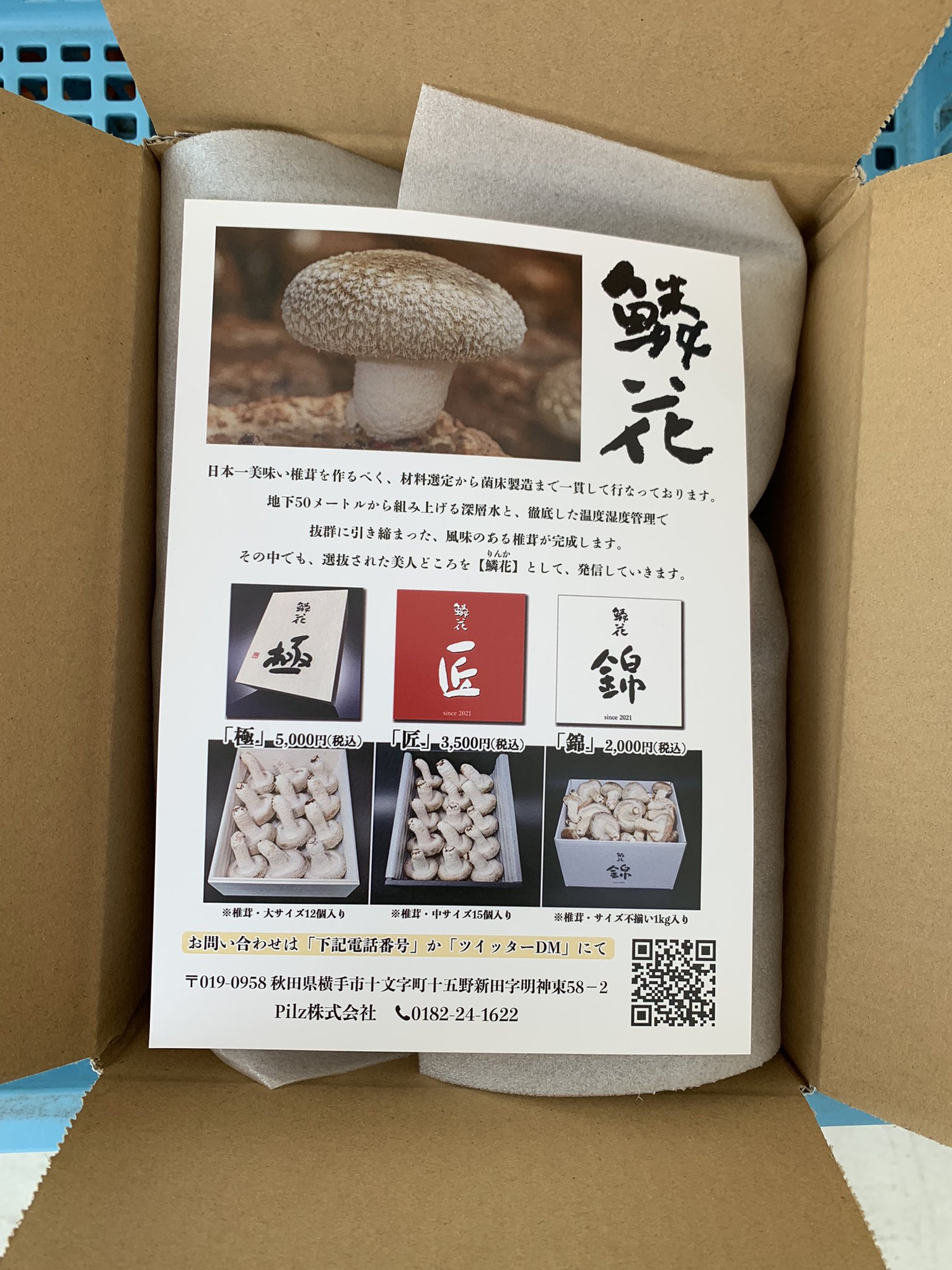 あきにゃん♪様専用ページ 店舗良い inspektorat.madiunkota.go.id