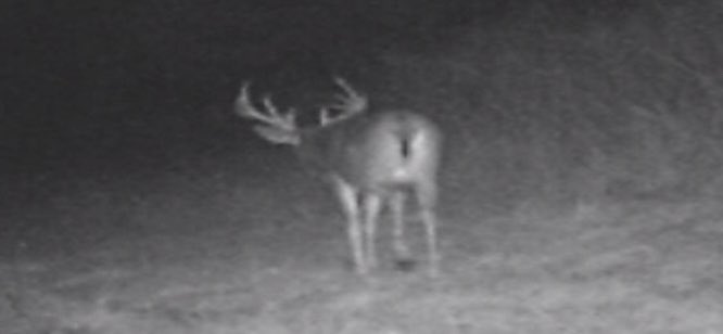 matheroutdoors's tweet photo. Another great hunt in MO is over, this guy never showedβ¦β¦#todamnhot Great week with a great group of guys!!β¦.lots of laughs!!! https://t.co/orNAutWhU1