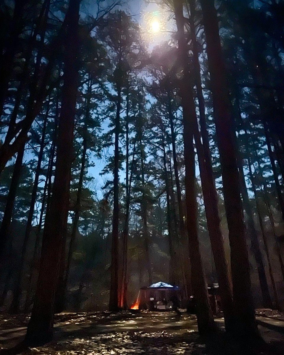 TrinaLane's tweet photo. Had an overnight camping trip. Nothing like a bonfire, a beanie( it was a bit frigid), a good book, and my favorite beverage.#cspoe #whiskeylover #campinglife https://t.co/oqwJBE3NIw