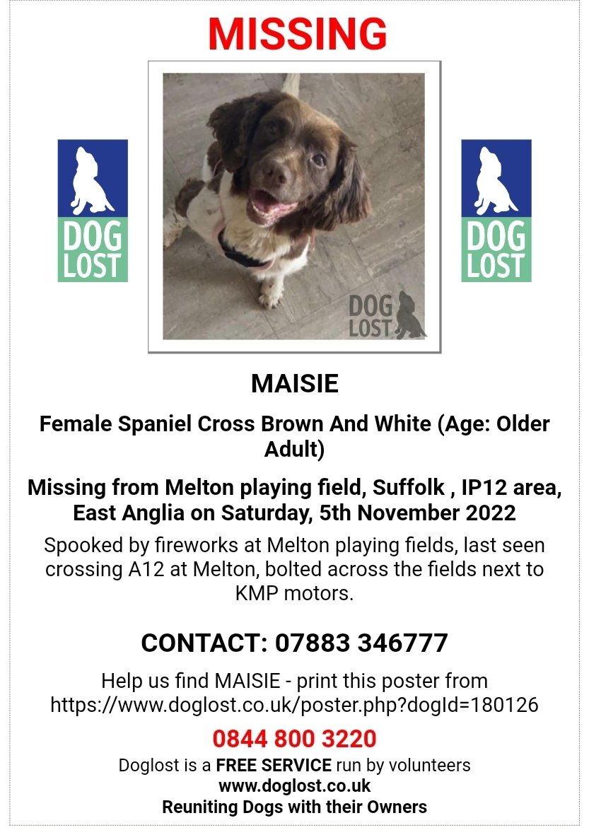 MissingPetsGB's tweet photo. 🐕🧨MAISIE #MISSING MELTON WOODBRIDGE #SUFFOLK #IP12 DUE TO BEING SPOOKED BY #FIREWORKS
POSSIBLY INJURED AS BEEN HIT BY A CAR🤞
Spooked by fireworks at Melton playing fields, last seen crossing A12 at Melton, bolted across the fields next to KMP motors. https://t.co/DFCshNLoFU https://t.co/SkYKDyd45u