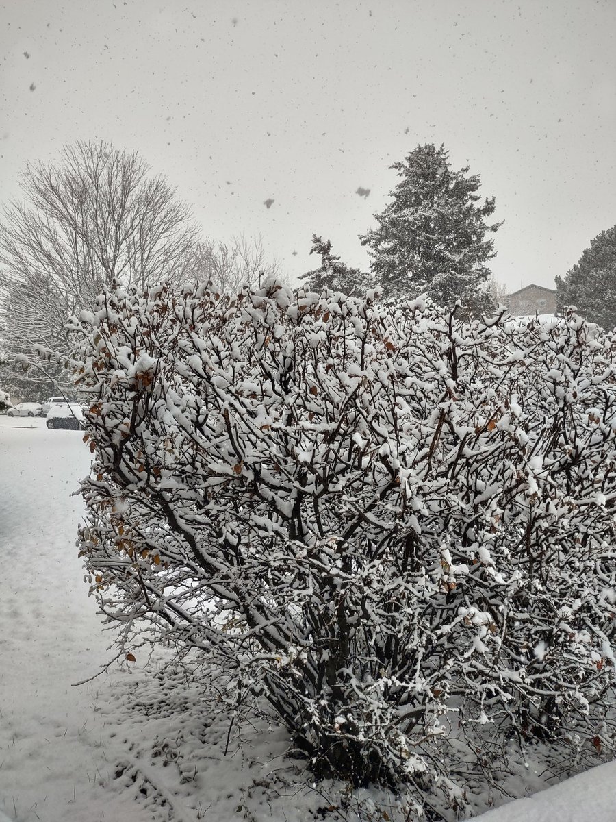 Lili Cruz tweet media