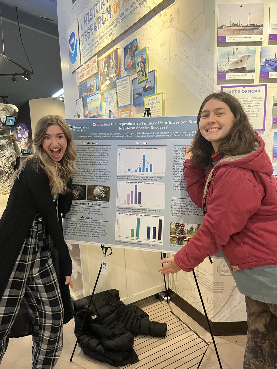 BrennaRothman's tweet photo. Some of my dear friends came to watch me present my research on sunflower sea stars at #StateoftheCoast! 
I learned so much about how to strengthen my science communication skills, and got great data analysis advice from fellow presenters. https://t.co/xZdBHzE1Xt