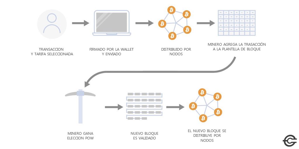 techconcatalina's tweet image. 💥 Cómo funciona #Bitcoin.. ⚡️

 #Educacion #BTC