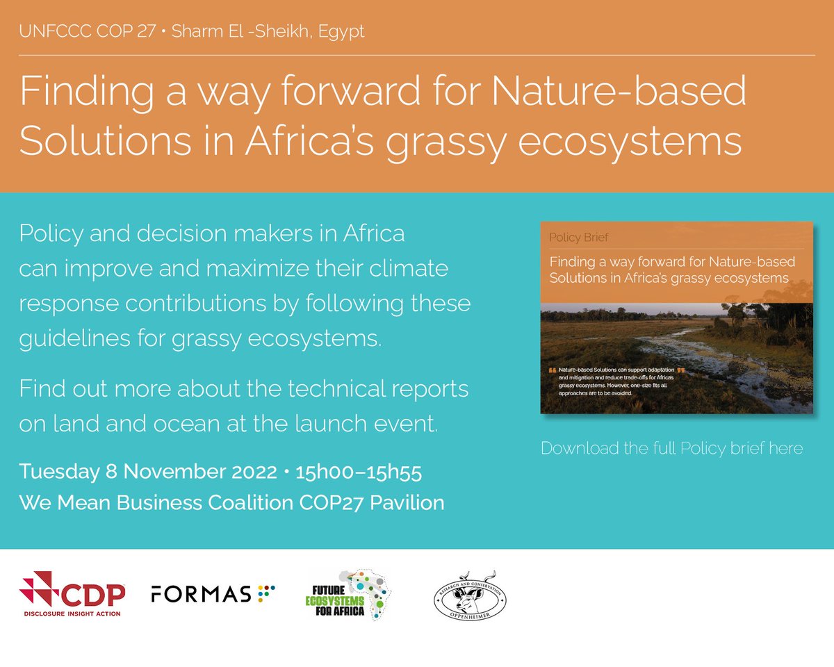 For those at or covering #COP27 look out for this event! We were tired of saying 'PLANTING TREES IN AFRICAN SAVANNAS IS A REALLY BAD IDEA' so here we discuss the range of other more suitable nature based solutions for African grassy ecosystems @SallyArchibald