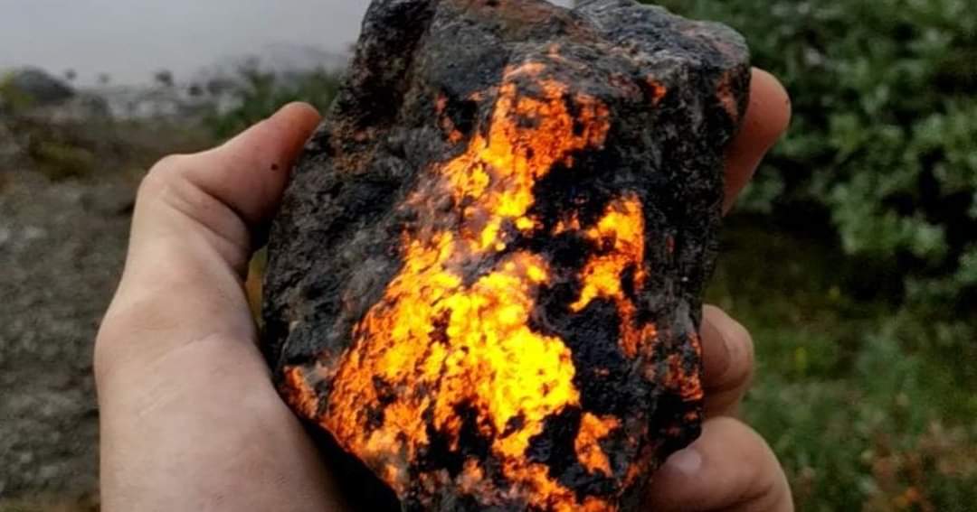 SouthPatriotCL's tweet photo. #minutoNerd
#MinuteScience
No es lava, sino sodalita, un mineral que al contacto con la luz ultravioleta adquiere un brillo naranja fluorescente. #naturaleza https://t.co/KgPtuAEStK