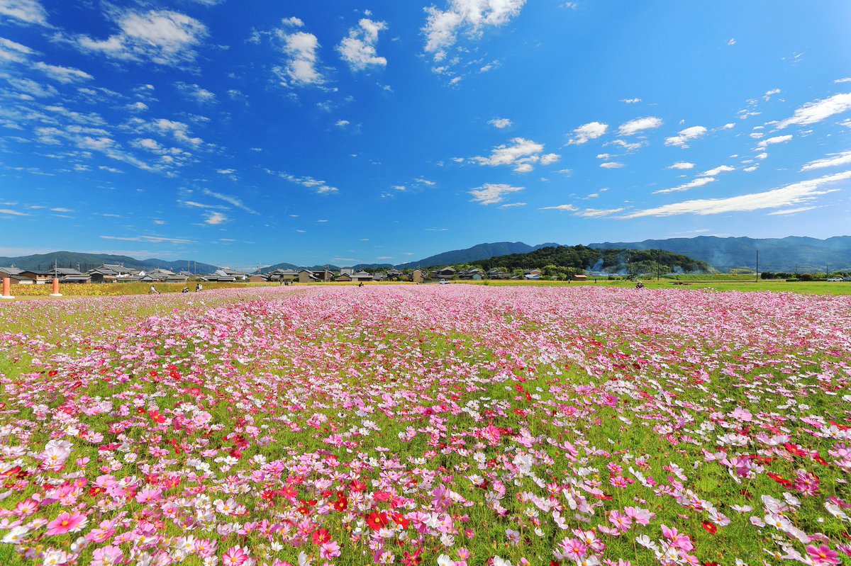 おはようございます😄 月曜日の朝ですね。 今日も一日頑張っていきましょう👍