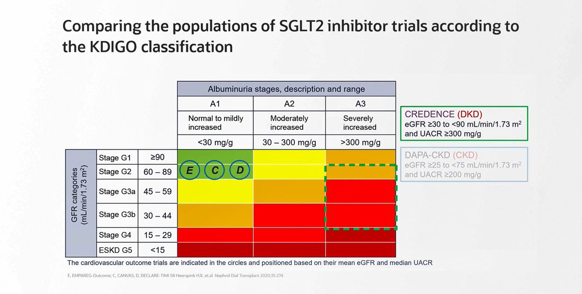 edgarvlermamd's tweet photo. Comparing the populations of SGLT2 inhibitor trials according to the @goKDIGO classification
📌 CREDENCE
📌 DAPA-CKD
📌 EMPA-KIDNEY: Will include those with low GFR but normal albumin excretion rate 
Credit: @P_Rossing 
#Nephpearls https://t.co/SyQi7fD7vR