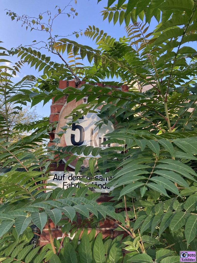 Verkehrsschild's tweet photo. »#Essigbaum (Rhus typhina) mit km - Angabe.«
Dem #Schild ist's #Tempolimit peinlich,
drum spielt's im #Busch Versteck,
ganz heimlich.
#Reimen, #Spruch, #Vers, #Gedicht, #Text zum #Bild https://t.co/oP50IJOYEf