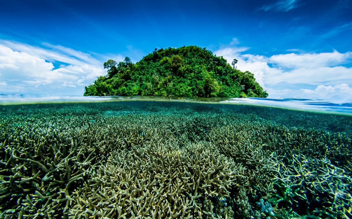 UNDP in Asia and the Pacific tweet media