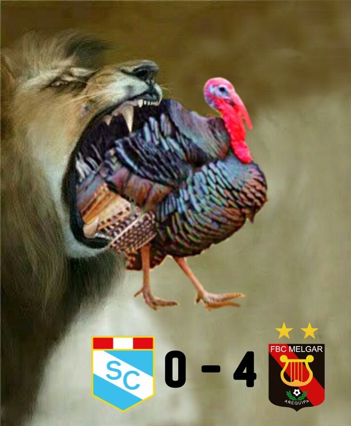 peruana1821's tweet photo. 2 en Arequipa, 2 en Lima.

Melgar fue mas que Cristal en los 180 Minutos.

¡ Literal ! El leon se comio al pavo. https://t.co/B7FSshrgUM