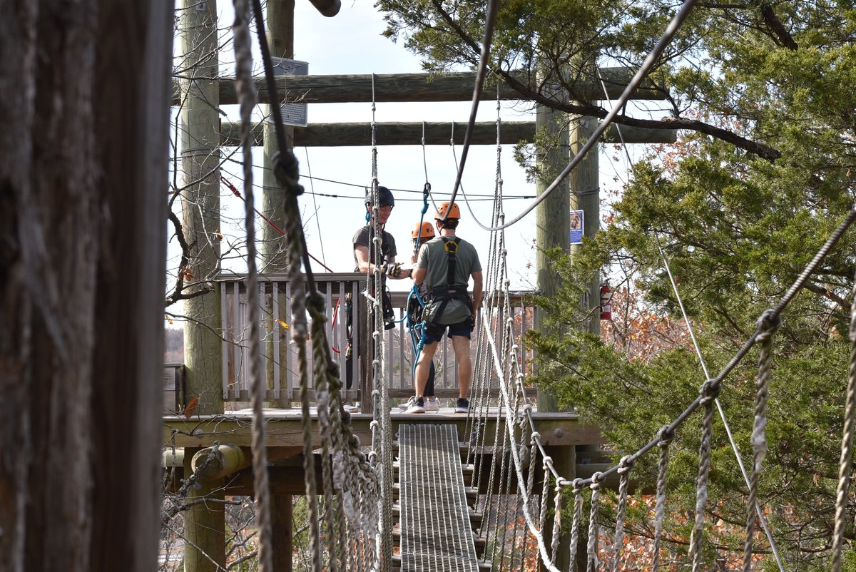 Exploring new heights.