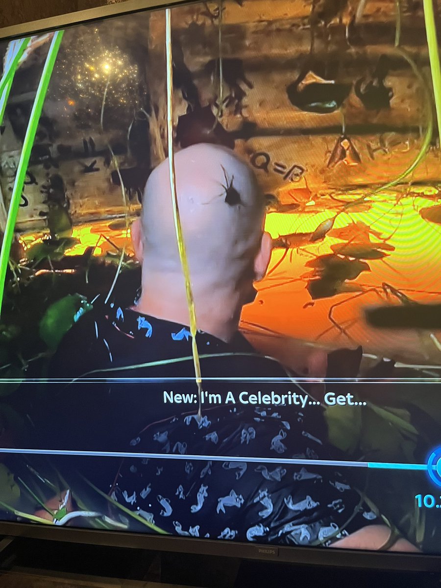 She_will_talk's tweet image. Mike Tindall not being       Me 9,469 
being fazed by a huge       miles away
spider on his head 

#ImACeleb