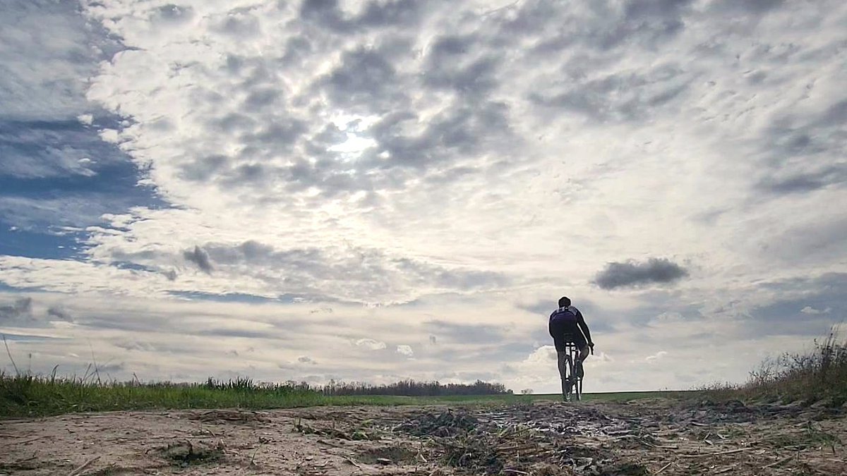 Joe Meissner tweet media