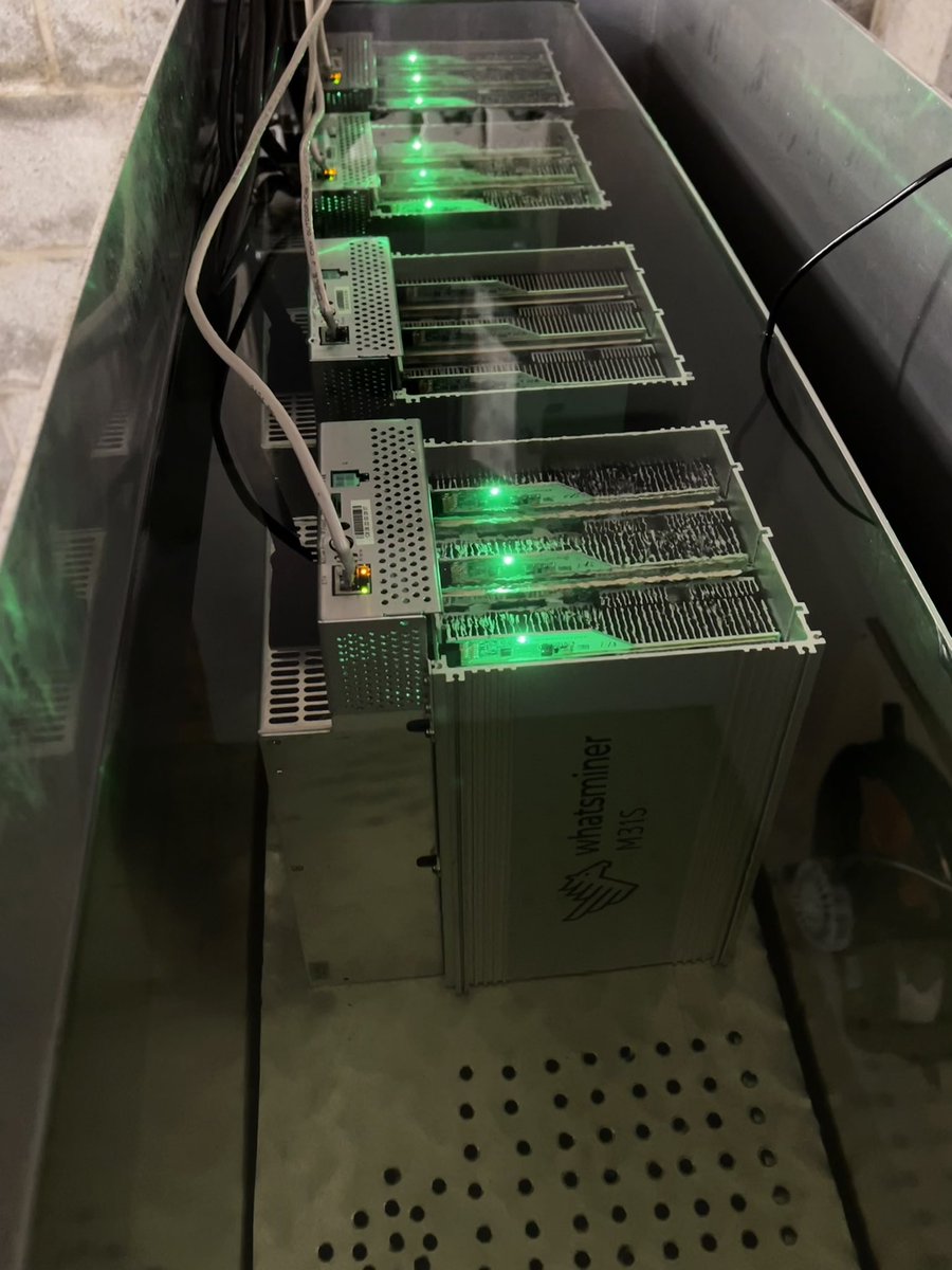 Relocated the tank pump today and finally got a few machines making that corn. I’ll continue to add machines and see where the temps go. So far the fluid temp is holding solid at 61C after an hour and a half.  🤟 #pleb #homemining #plebminermonth #immersion  <a href="/bingbong_BTC/">Bing</a>
