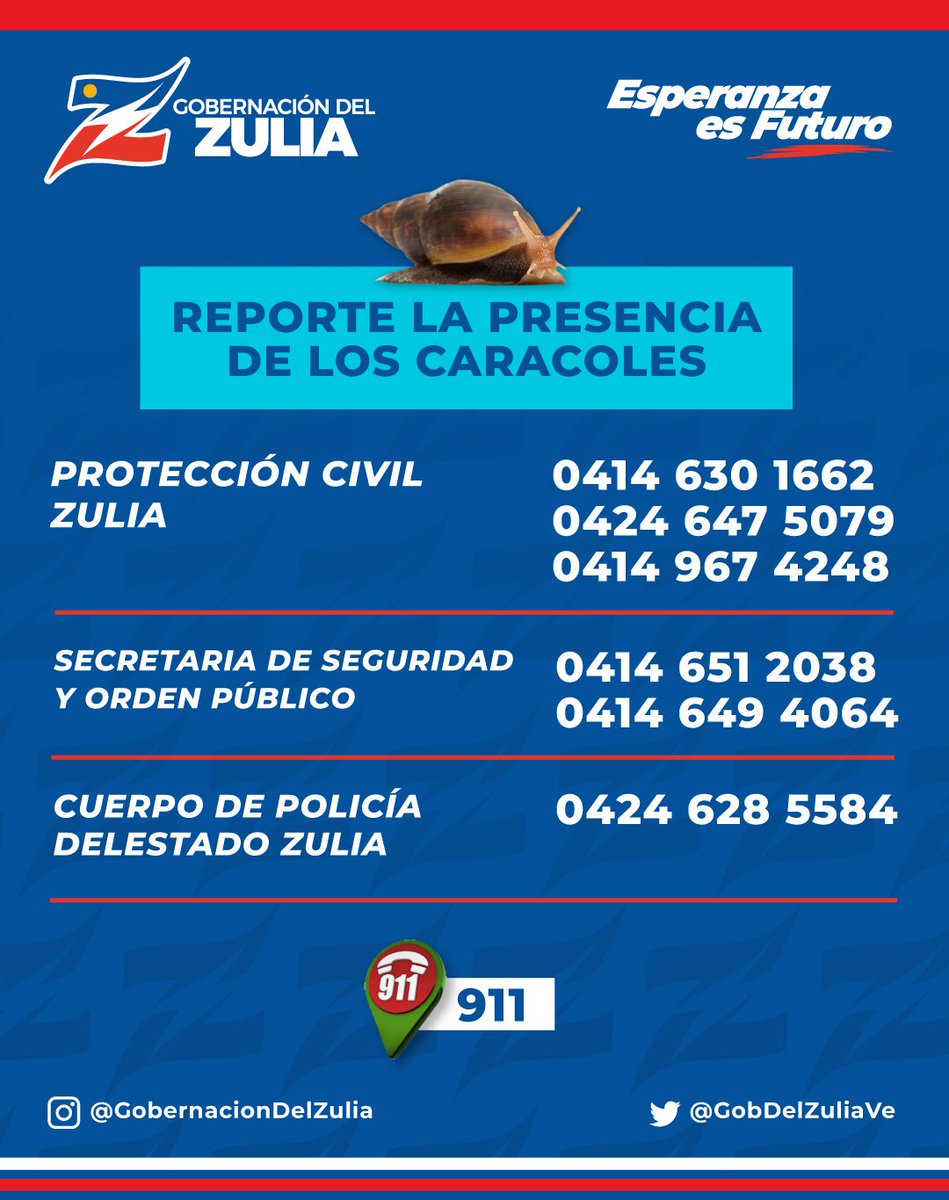 Tres niveles de gobierno y asociaciones de protección animal despliegan plan para erradicar Caracol Africano

m.facebook.com/story.php?stor…