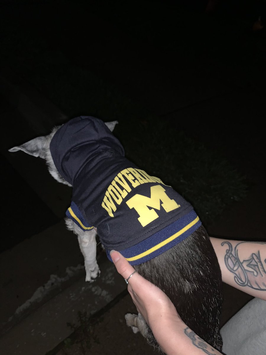 SherriAvery110's tweet image. My 16 yo chihuahua, Bemo, who loves The Wolverines! #GoBlue #WolverinesHomeScreen