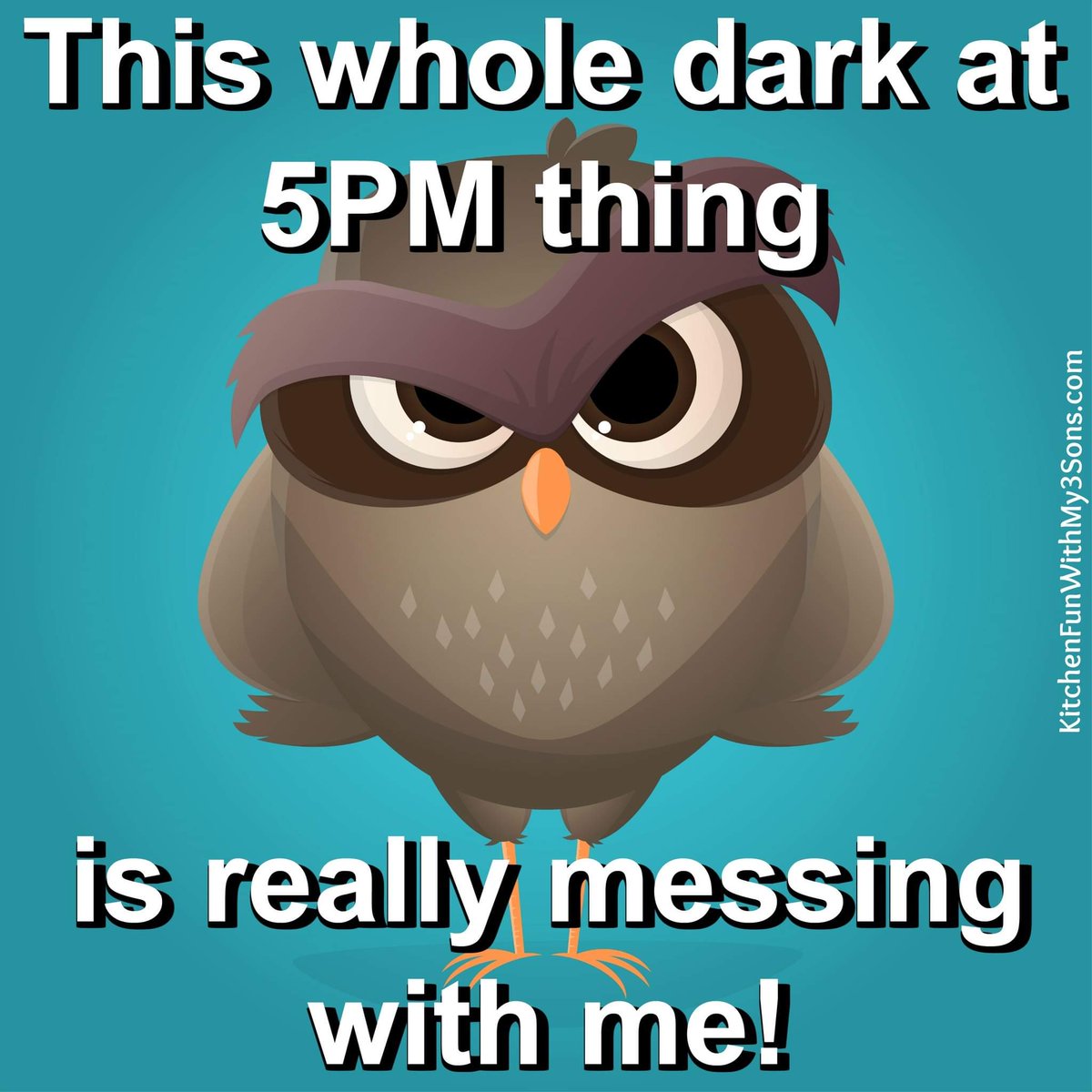 Laura L Lovett (@laurallovett1) on Twitter photo 