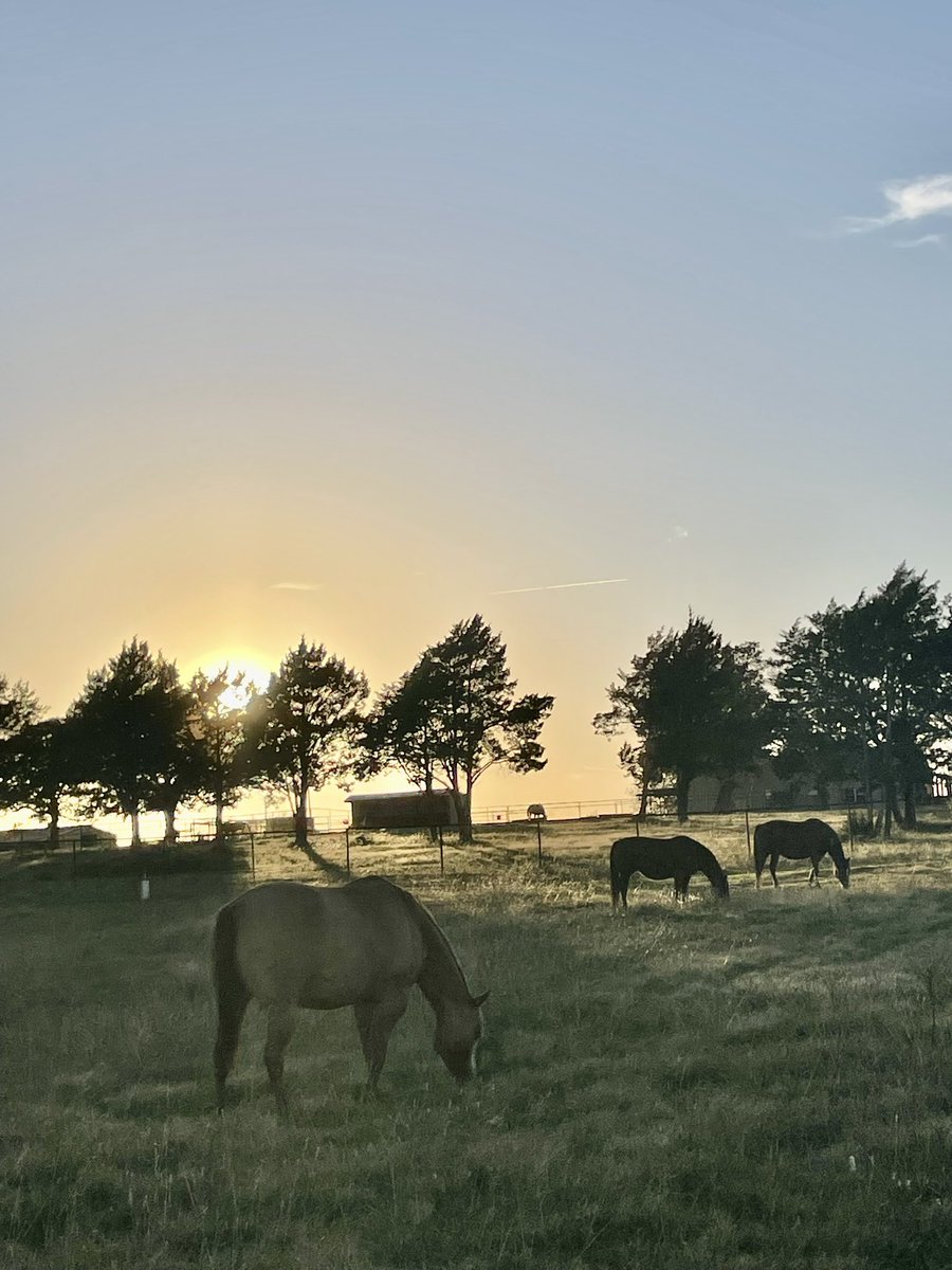 Chatting with the neighbors