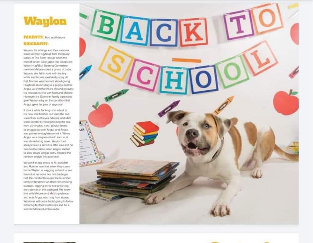 HugABull's tweet photo. Our 2023 calendars are arriving soon! Check out our website to preorder yours! All funds raised go directly to the dogs in our care. 🐶
PREORDER HERE: https://t.co/uPwyjjMUxl
Pick up options:
Vancouver
Coquitlam
Abbotsford
Chilliwack
#Rescue #HugABull #Dogs https://t.co/xH03UzaJh8
