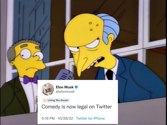 ditzkoff's tweet image. 