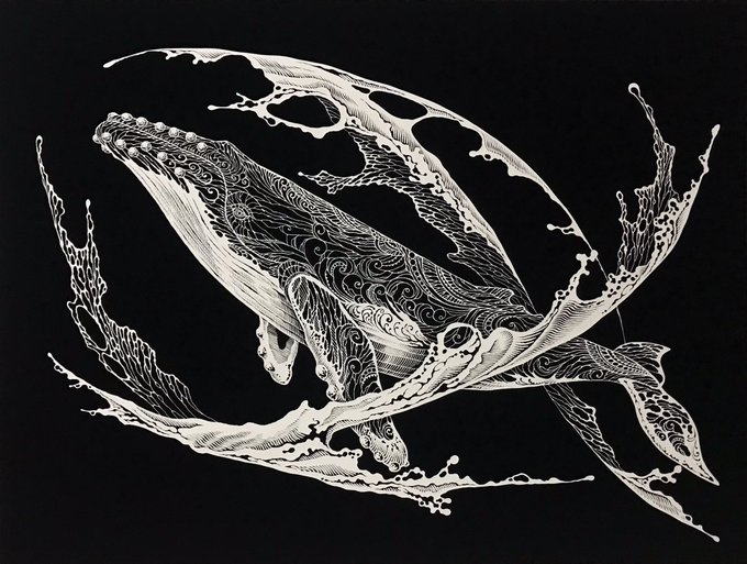 新作が完成いたしました。水流の中を泳ぐザトウクジラです。クジラを包む様な水流の躍動感を感じていただけるでしょうか??紙を重ねたり彩色したりせず単純な平面一枚切り絵で作っています。#切り絵 