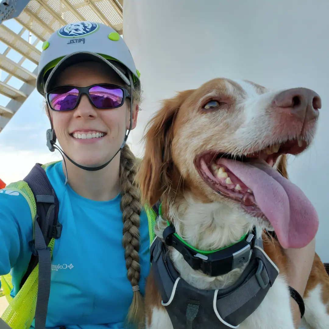roguedetection's tweet photo. What does a #DayInTheLifeOf a bounder look like? #DetectionDog handler, J. Nawrocki opened up about working alongside our #K9 collegues for #BatConservation in the latest @BatConIntl magazine. 

The takeaway? This work isn't easy!

#TrueGrit 
#BatDogs 
#WildlifeConservation https://t.co/fBinLRnWwU