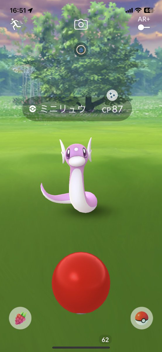 ソードシールド ミニリュウの種族値 わざ 特性など能力と入手方法 ポケモン剣盾 攻略大百科