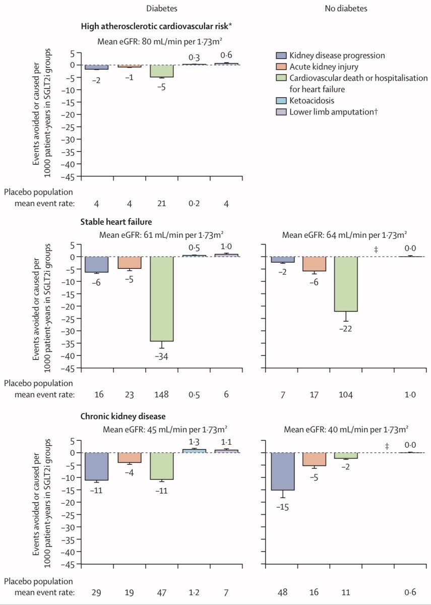 Our SGLT2 Trialists Consortium meta-analysis *the largest ever* in @TheLancet thelancet.com/journals/lance… Definitive evidence that SGLT2i ⬇️: - Kidney failure - AKI - CV death - All-cause death Regardless of diabetes Led by @NatalieStaplin @RichardHaynes3 @willkidney #AHA22